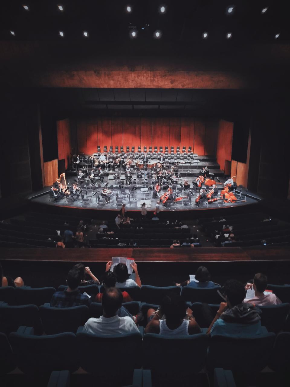 image of concert crowd